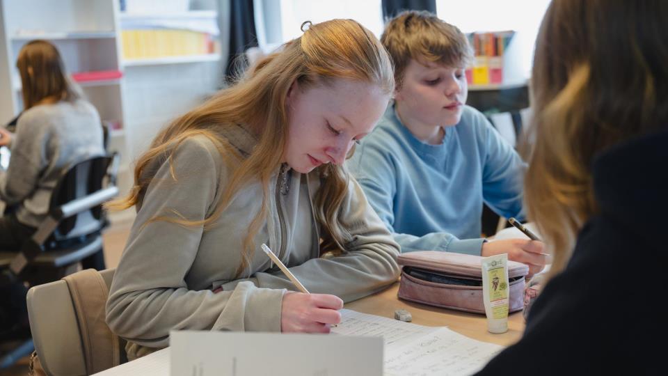 Lenke til artikkel: Lærar ved Dovre barneskole – 100% vikariat
