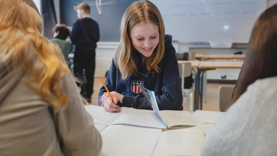Lenke til artikkel: Gruppeintervjuer om framtidas skolestruktur