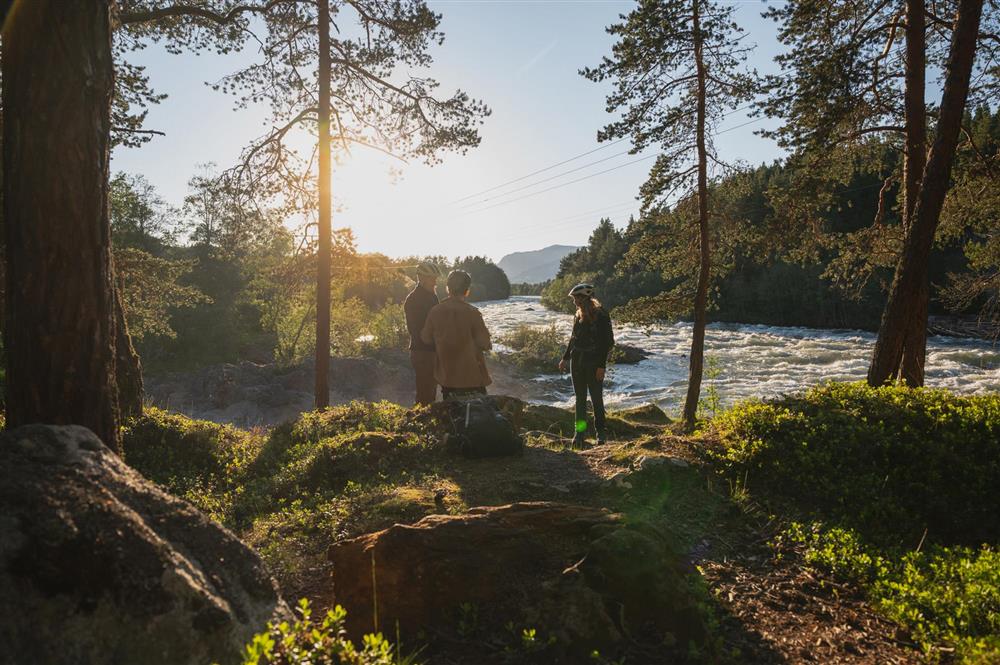 Klikk for stort bilde